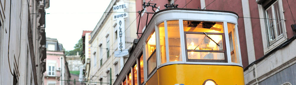 Canrely International Immigration Services 加齐国际留学移民事务所